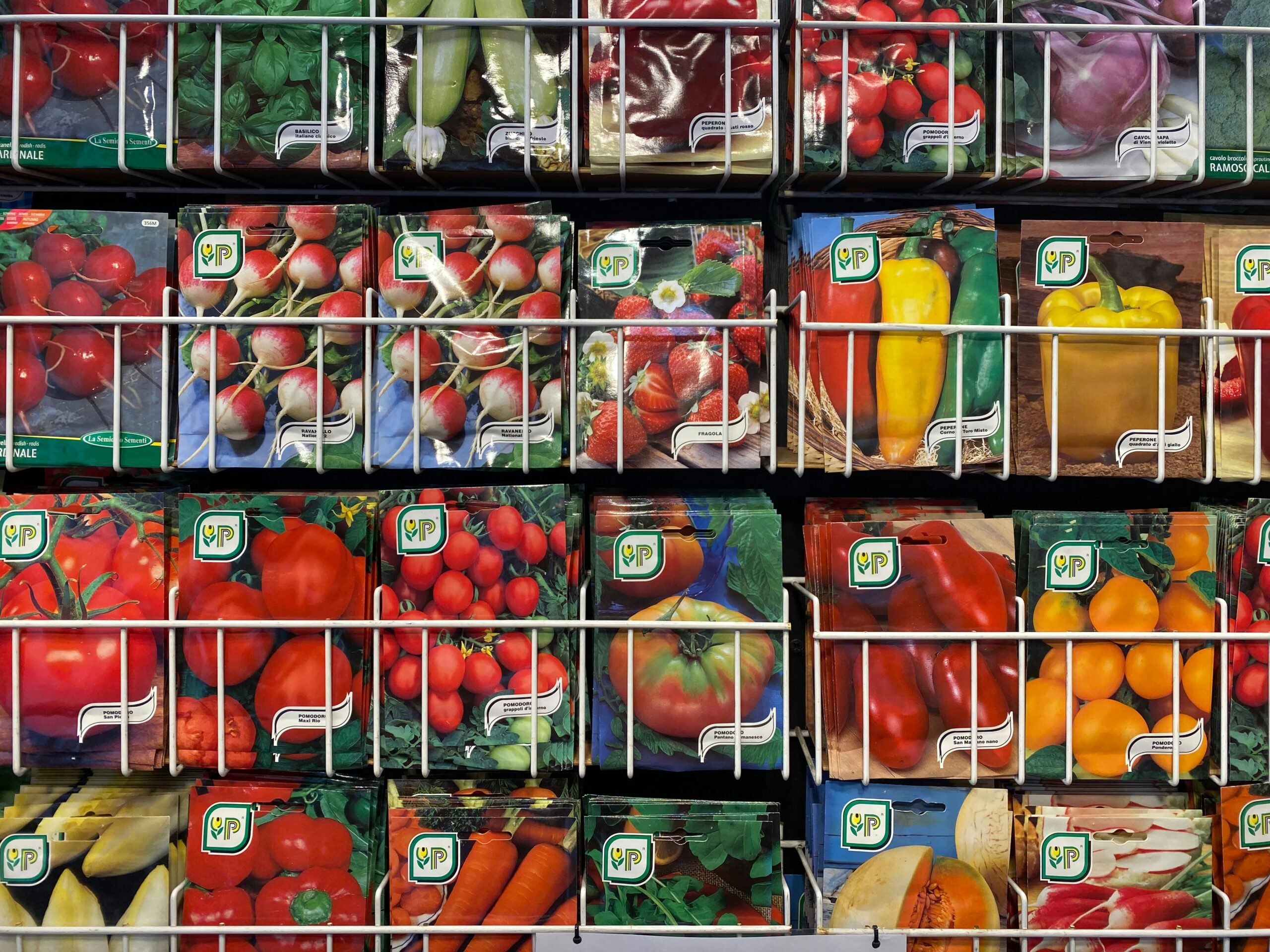 mediterranean diet grocery list for beginners - Mediterranean diet grocery shopping cart with olive oil vegetables fruits - P